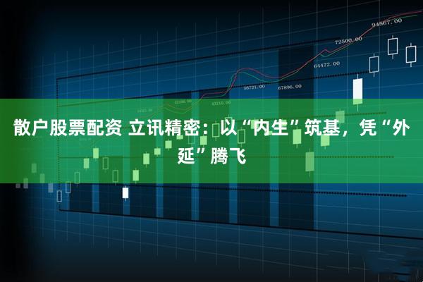 散户股票配资 立讯精密：以“内生”筑基，凭“外延”腾飞